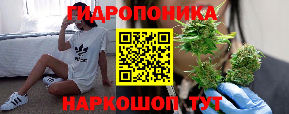 Бошки марихуана OG Kush  Каннабис ГИДРОПОН  Вход с VPN  Бошки марихуана SATIVA & INDICA  Карпинск 